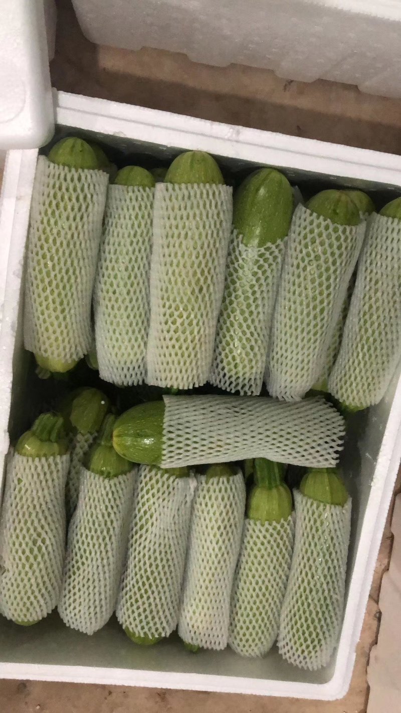 西葫芦，，，，，，，，
