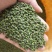吴茱萸中花江西吴茱萸高含量吴茱萸可出口品质好价格好