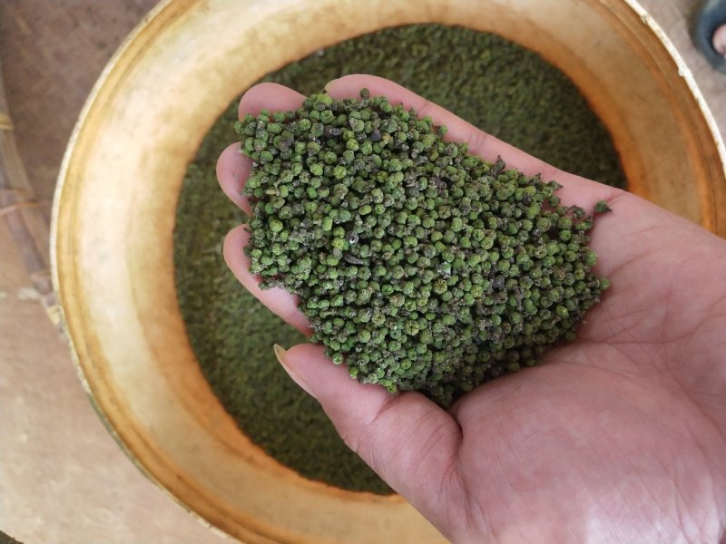 吴茱萸中花江西吴茱萸高含量吴茱萸可出口品质好价格好