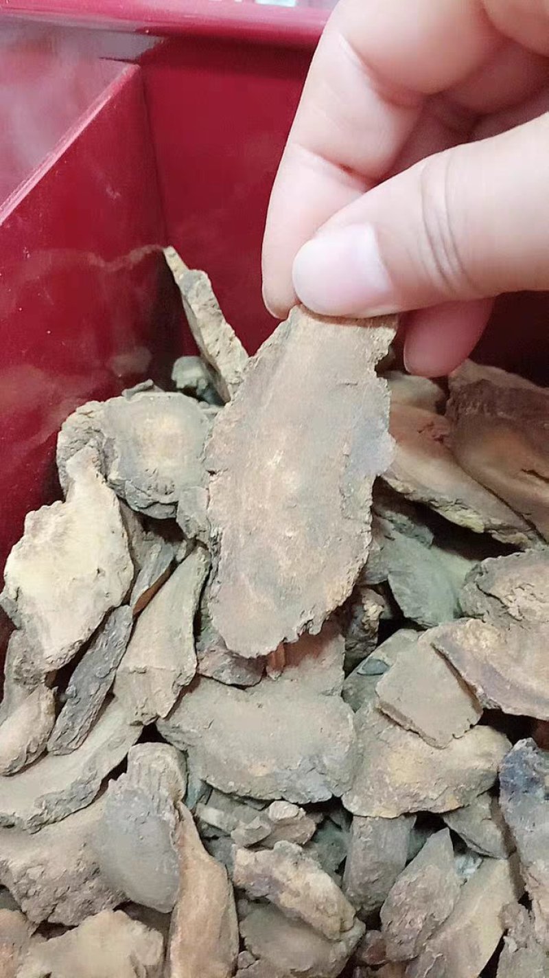 大黄5斤生大黄马蹄大黄农家优选农副土特产品农家初选