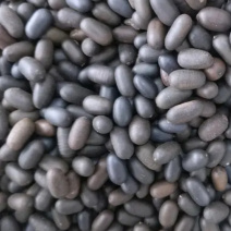 石莲子【包邮】三斤起发货可批量可零售量大从优