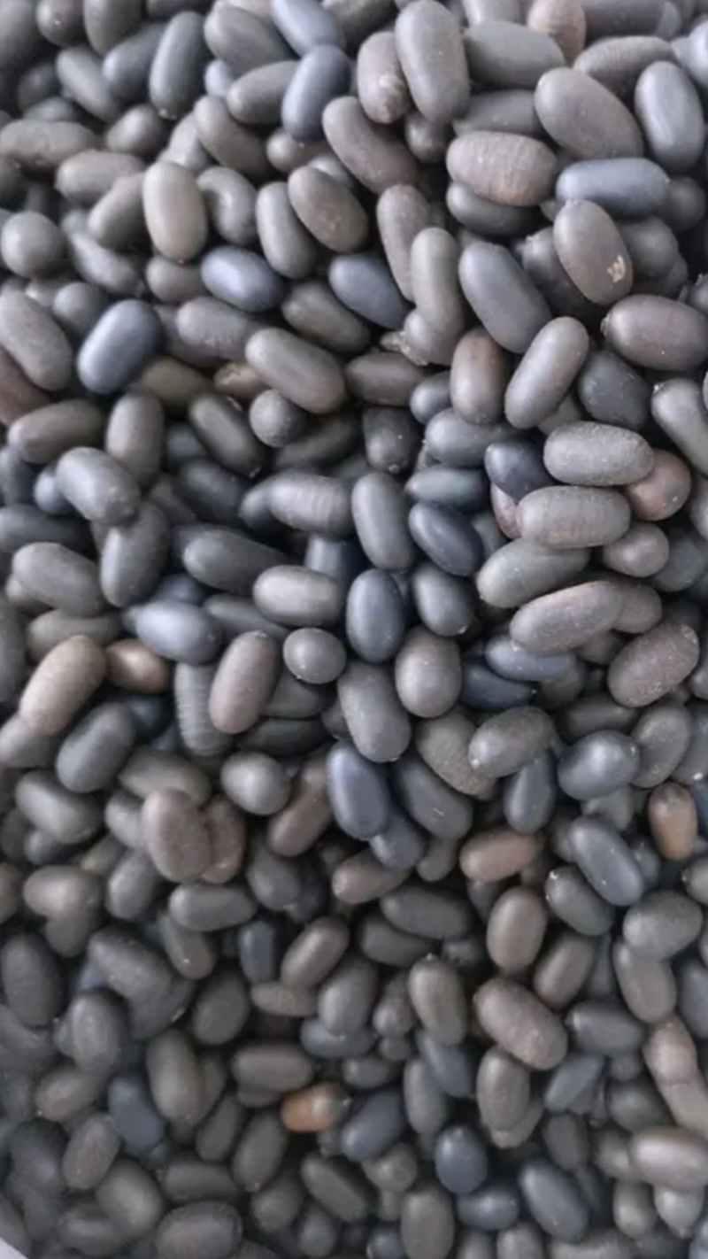 石莲子【包邮】三斤起发货可批量可零售量大从优