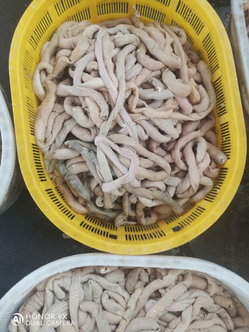 内蒙古锡林浩特市羊小肠，照片实物拍摄质量保证