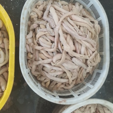内蒙古锡林浩特市羊小肠，照片实物拍摄质量保证