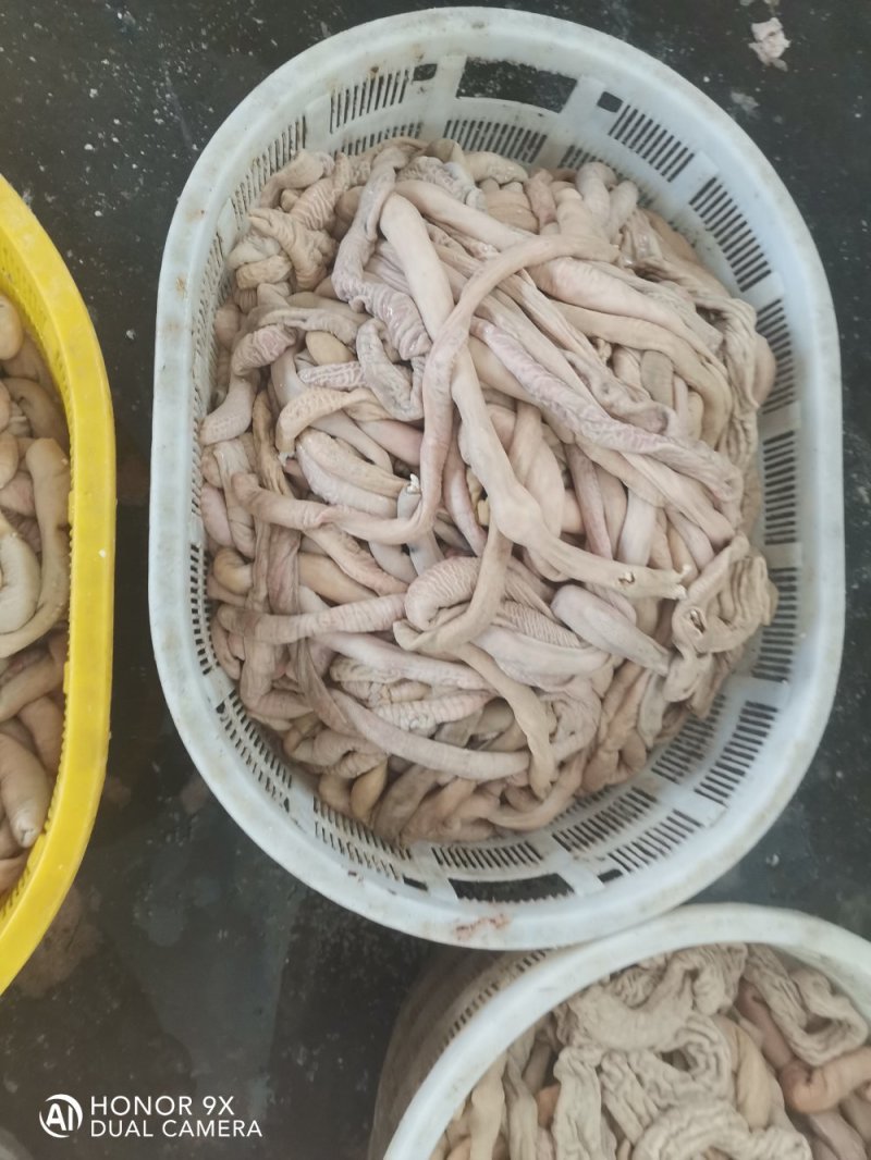 内蒙古锡林浩特市羊小肠，照片实物拍摄质量保证