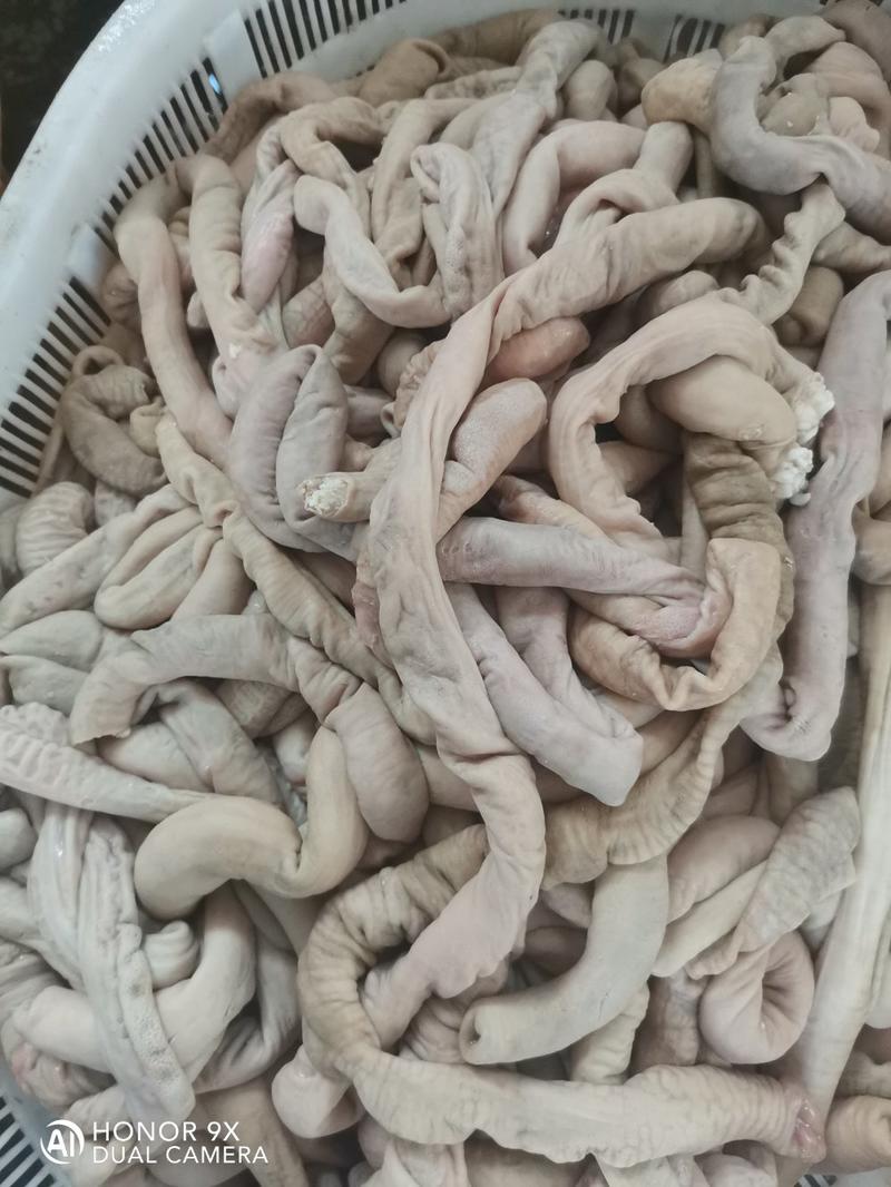 内蒙古锡林浩特市羊小肠，照片实物拍摄质量保证