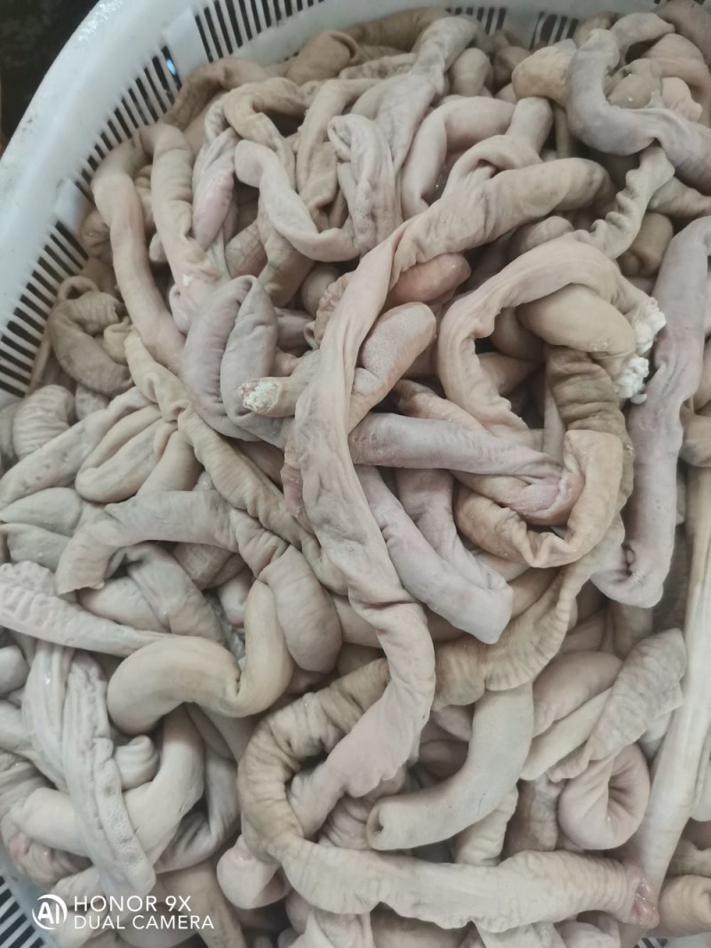 内蒙古锡林浩特市羊小肠，照片实物拍摄质量保证