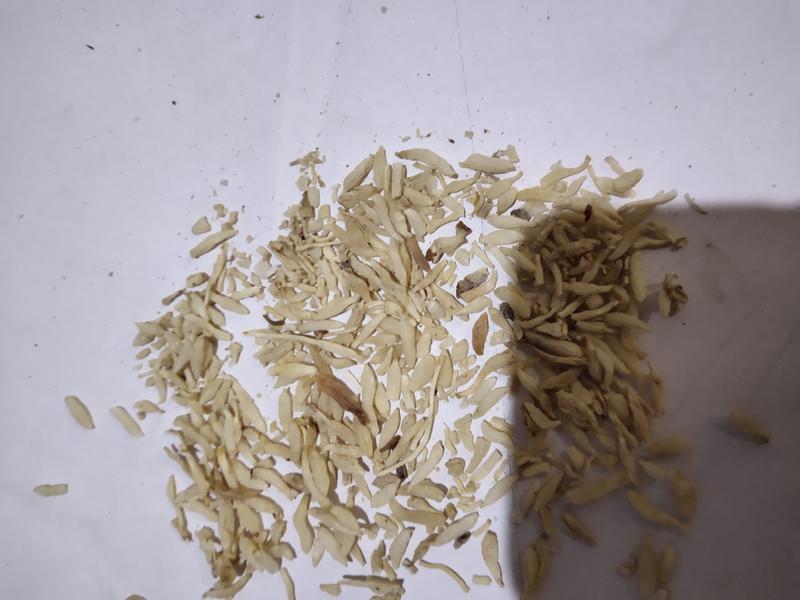 麦冬碎粒渣不含运费1到3毫米长批发零售