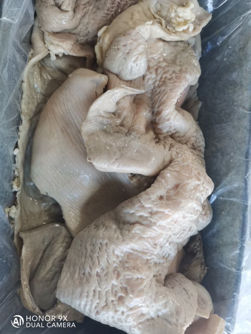 冷库长年批发零售牛片大肠熟，物流发货运费到付