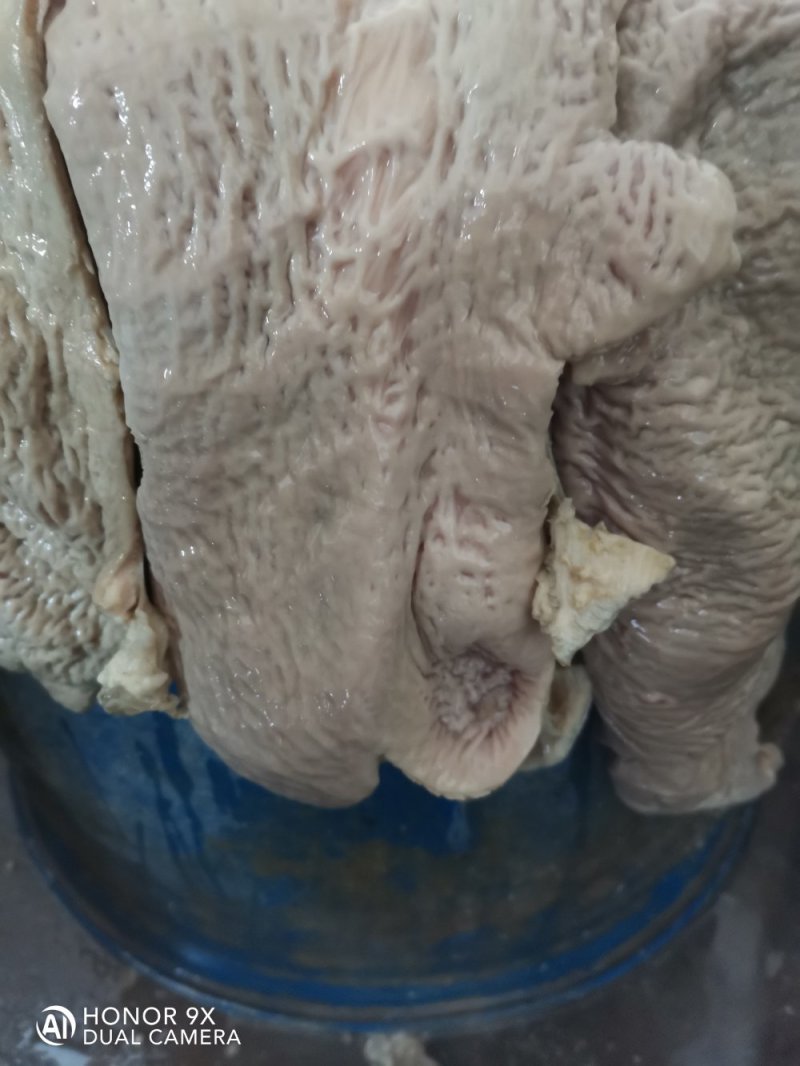 冷库长年批发零售牛片大肠熟，物流发货运费到付