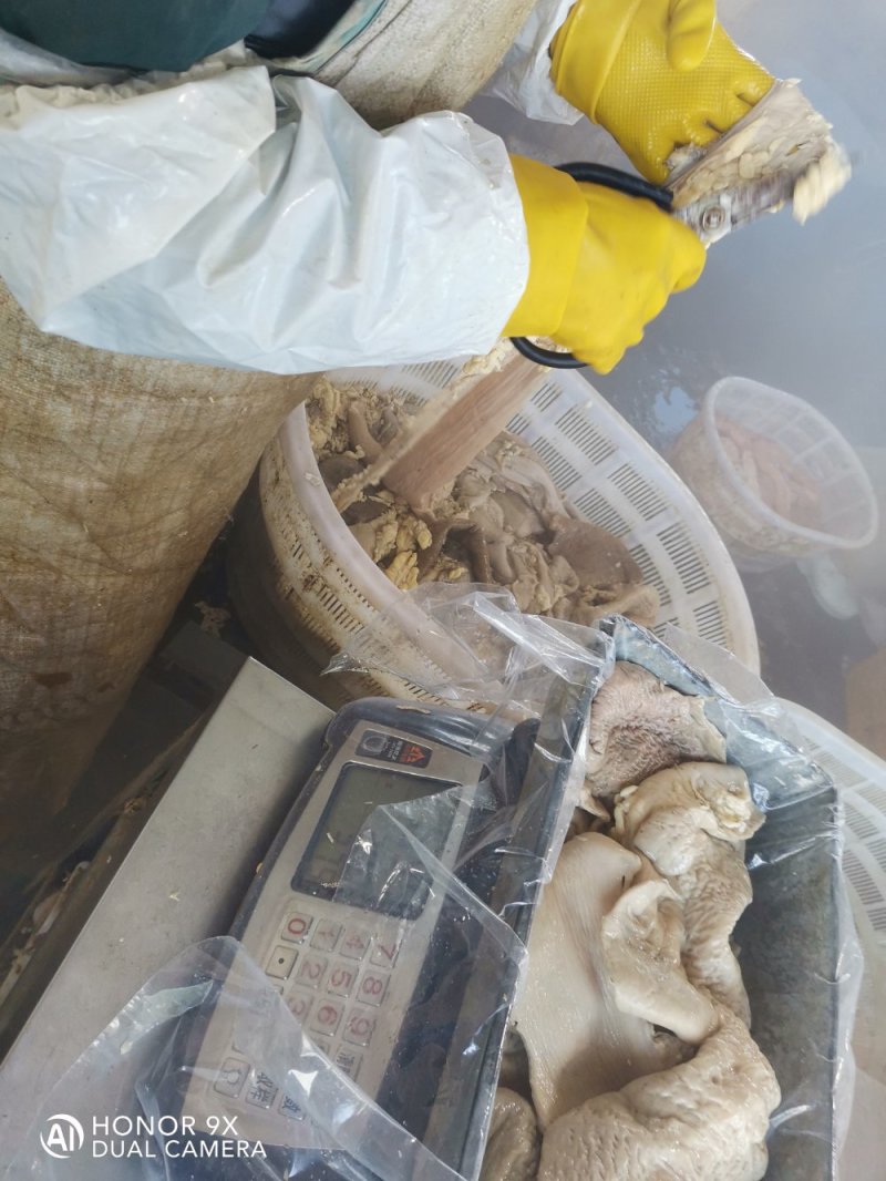 冷库长年批发零售牛片大肠熟，物流发货运费到付