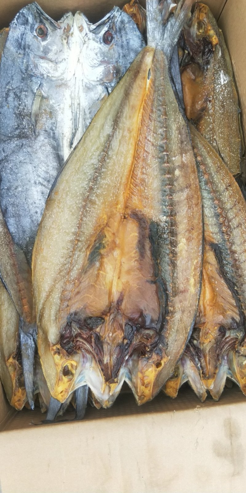 干货山东鲅鱼干，燕尾鲅，蒸，炸，都可以