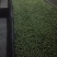 福州橄榄闽侯橄榄闽清橄榄鲜食水果橄榄