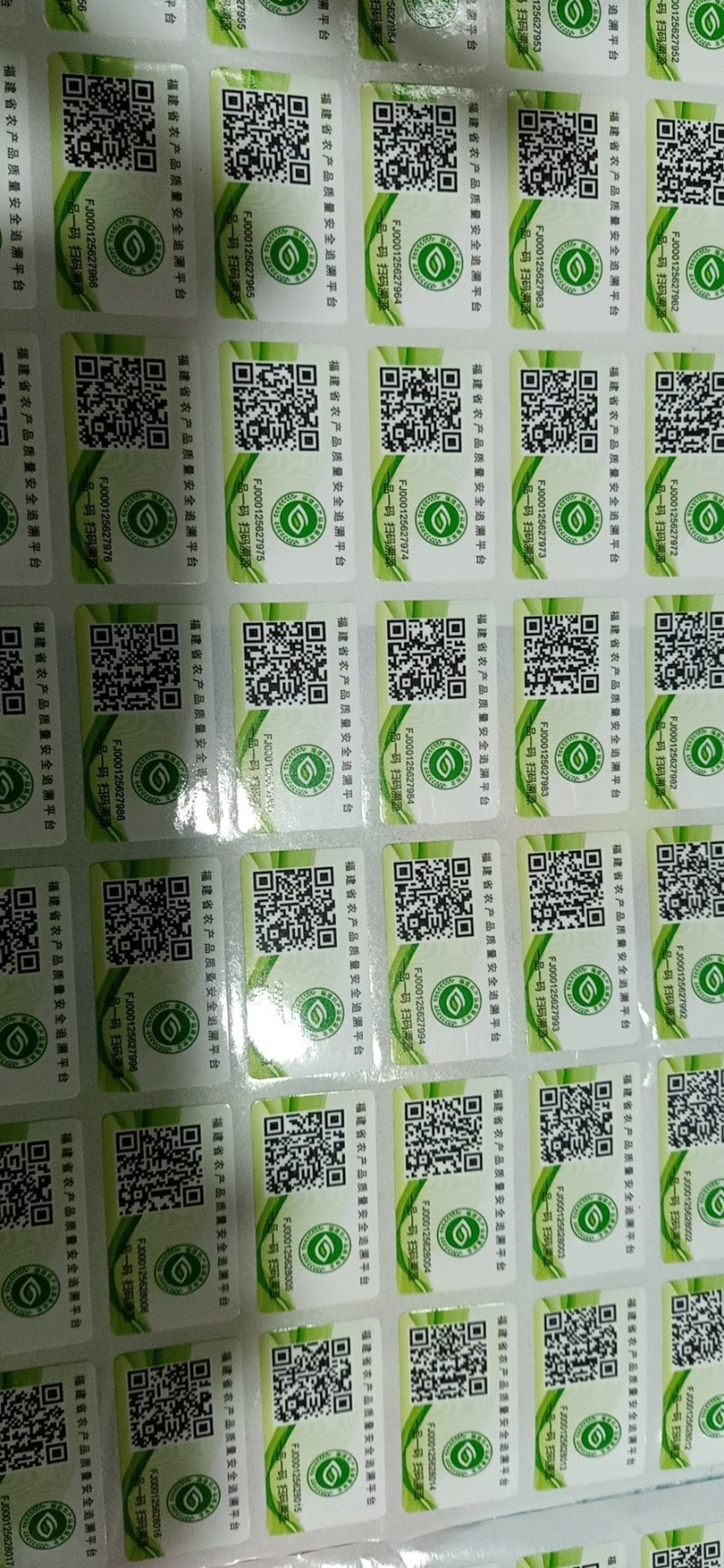 福州橄榄闽侯橄榄闽清橄榄鲜食水果橄榄