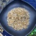 【薤白】薤白干货量大从优物美价廉