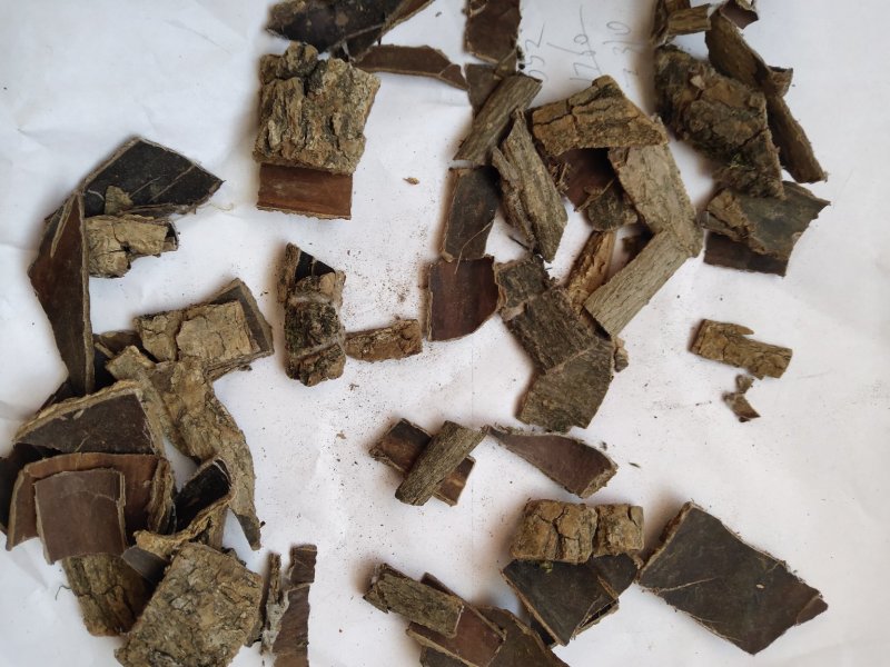 杜仲碎块投料不含运费杜仲皮