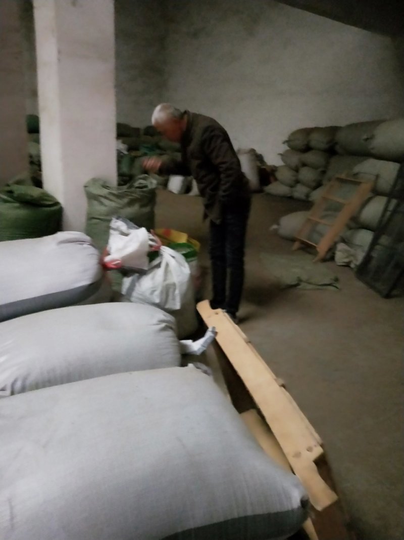 《政府扶贫》中花吴茱萸苗茶辣苗技术指导存活率高