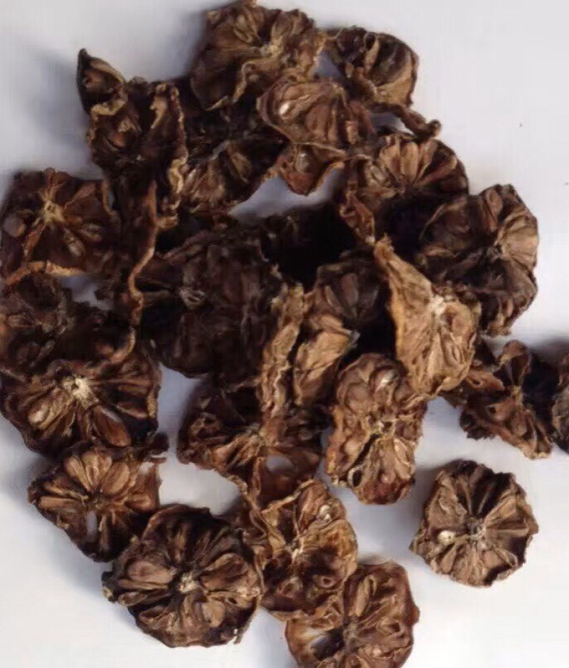 诺丽果干诺丽果干诺丽干果海巴戟果干诺尼果干