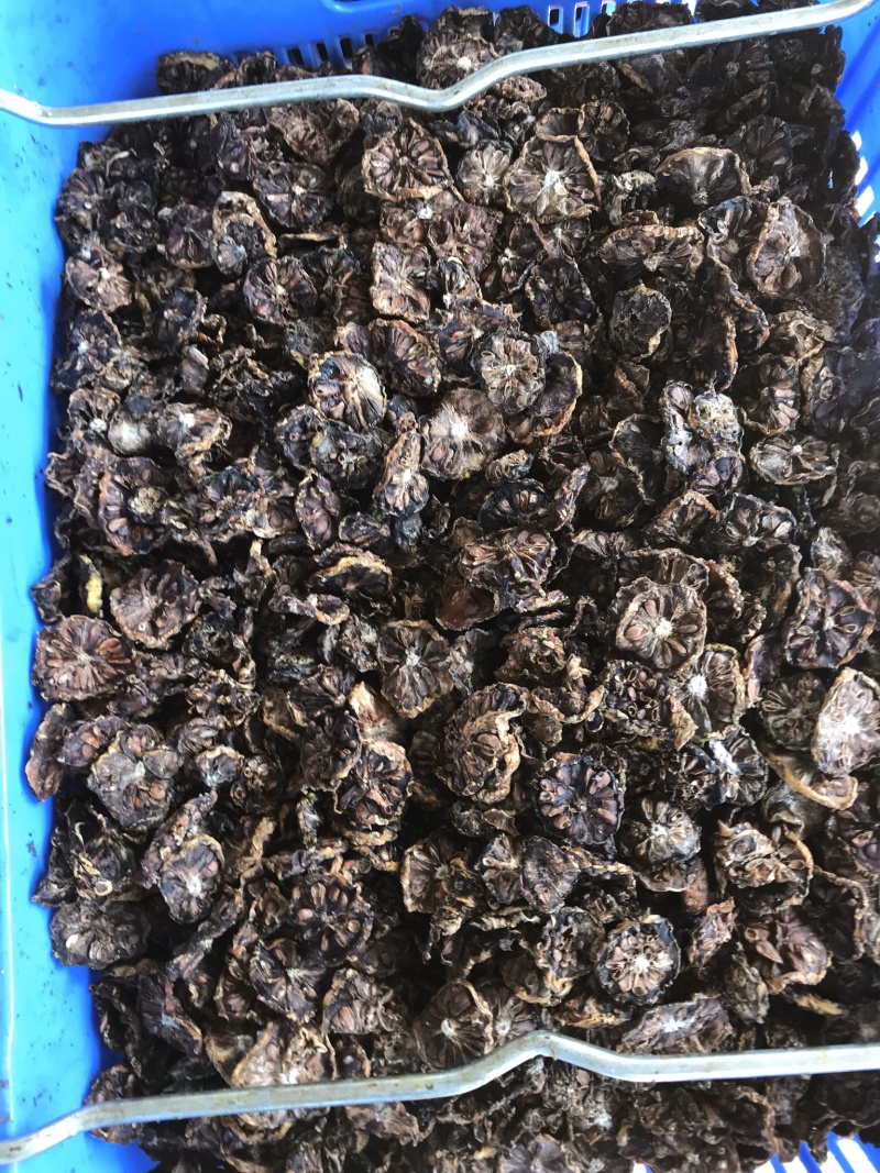 诺丽果干诺丽果干诺丽干果海巴戟果干诺尼果干