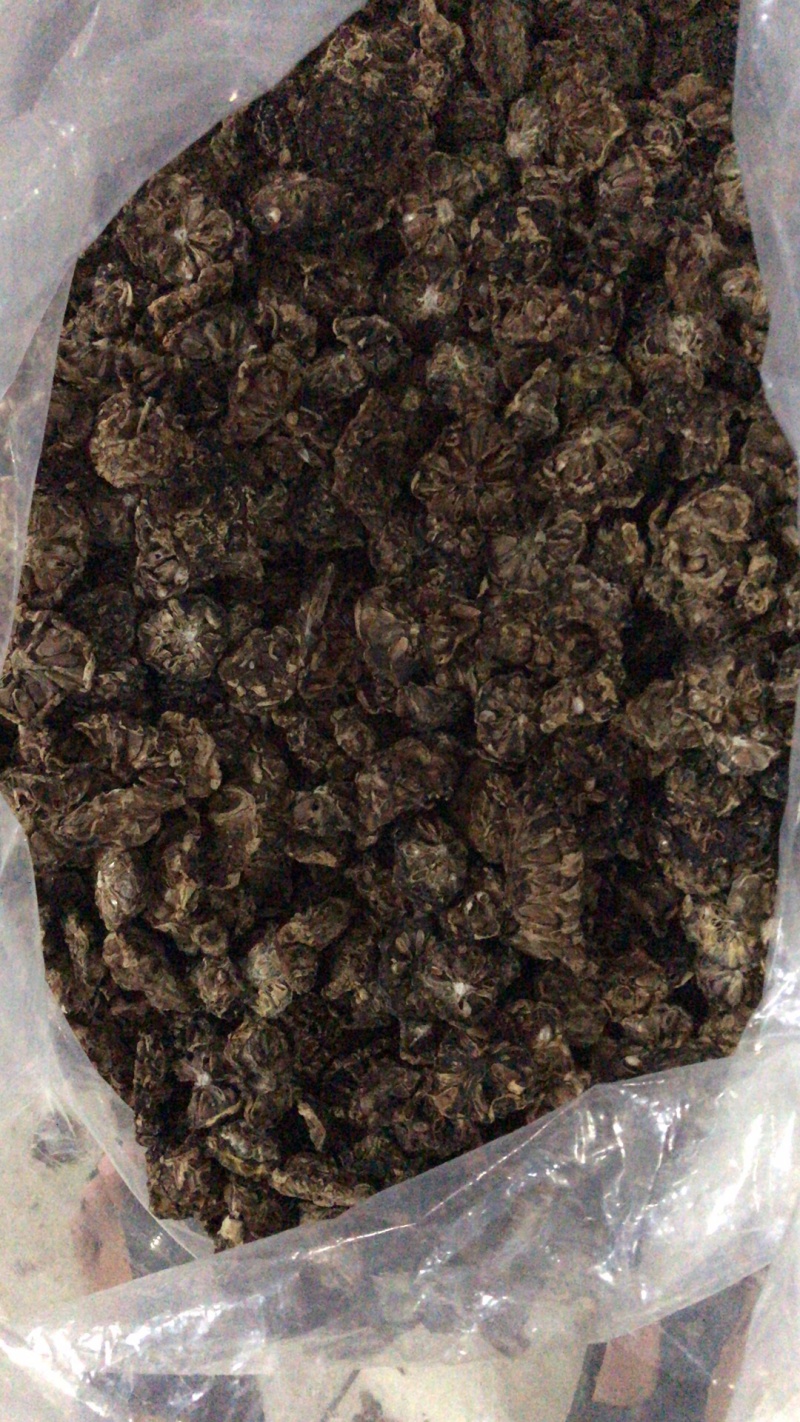 诺丽果干诺丽果干诺丽干果海巴戟果干诺尼果干