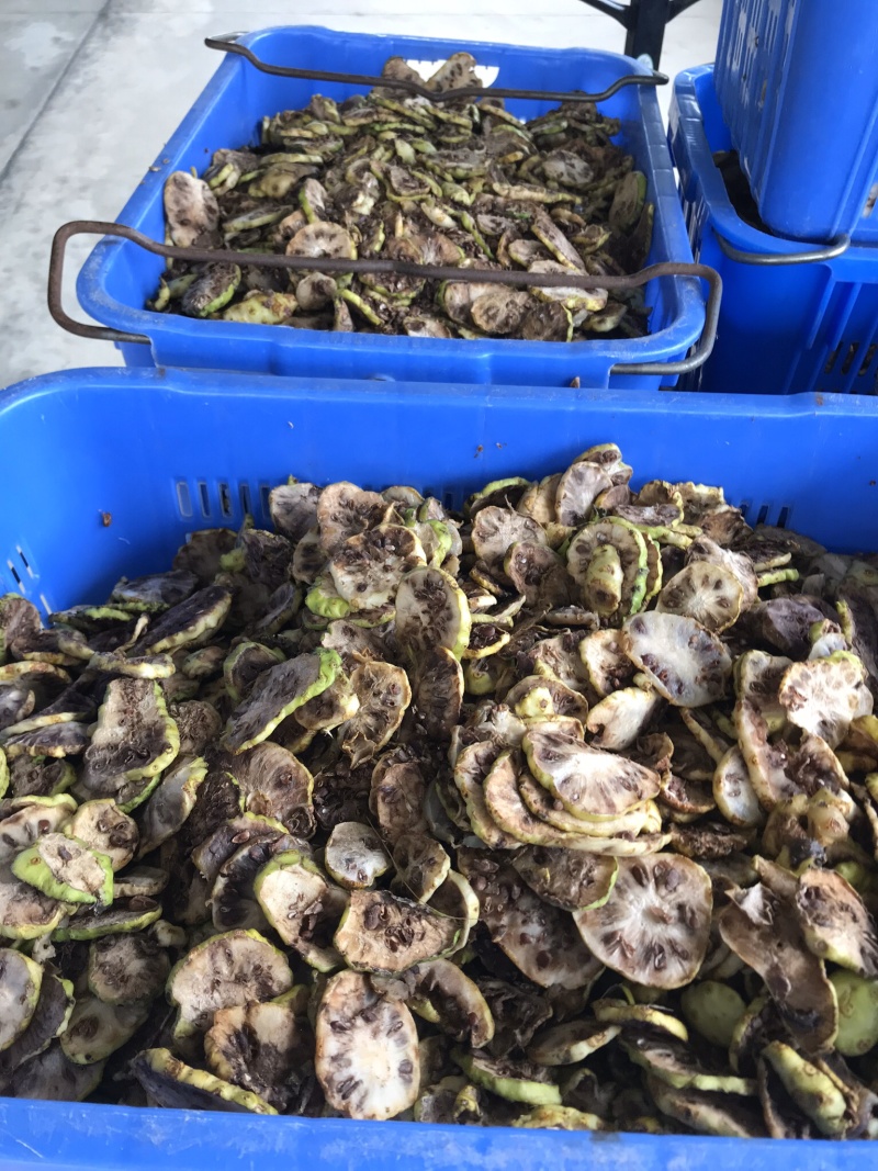 诺丽果干诺丽果干诺丽干果海巴戟果干诺尼果干