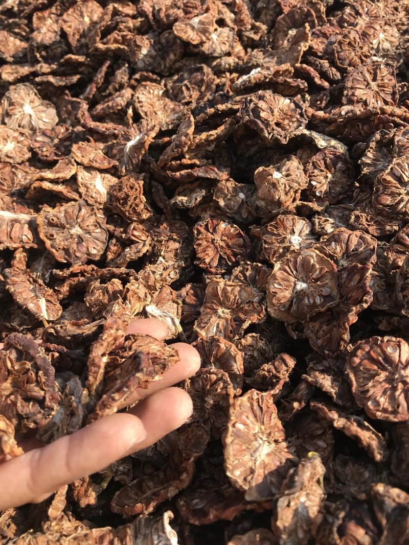 诺丽果干诺丽果干诺丽干果海巴戟果干诺尼果干