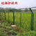 养殖网双边丝护栏网框架护栏高速公路护栏铁路护栏果园鱼塘网