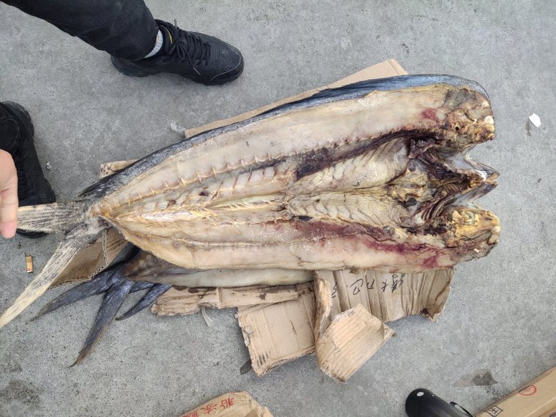 鲅鱼干