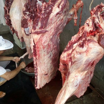 驴肉