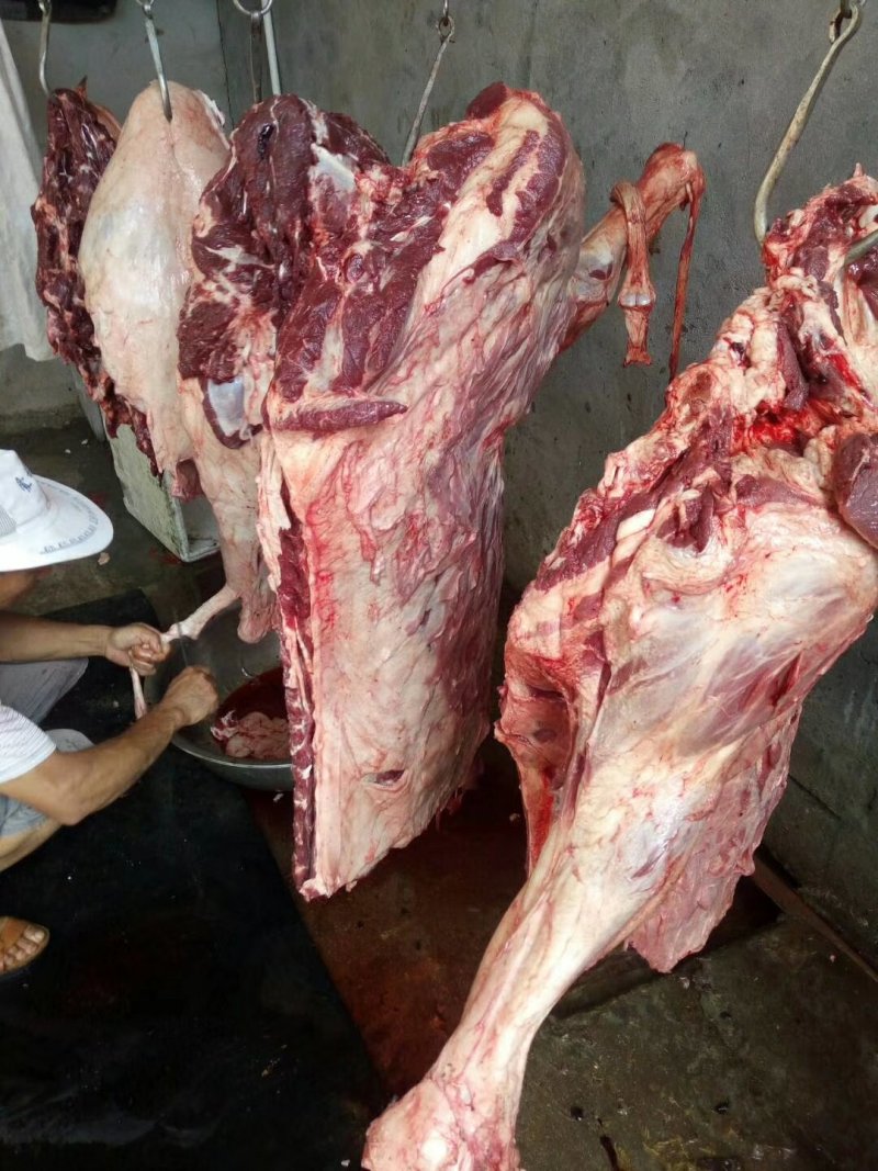 驴肉