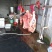 驴肉