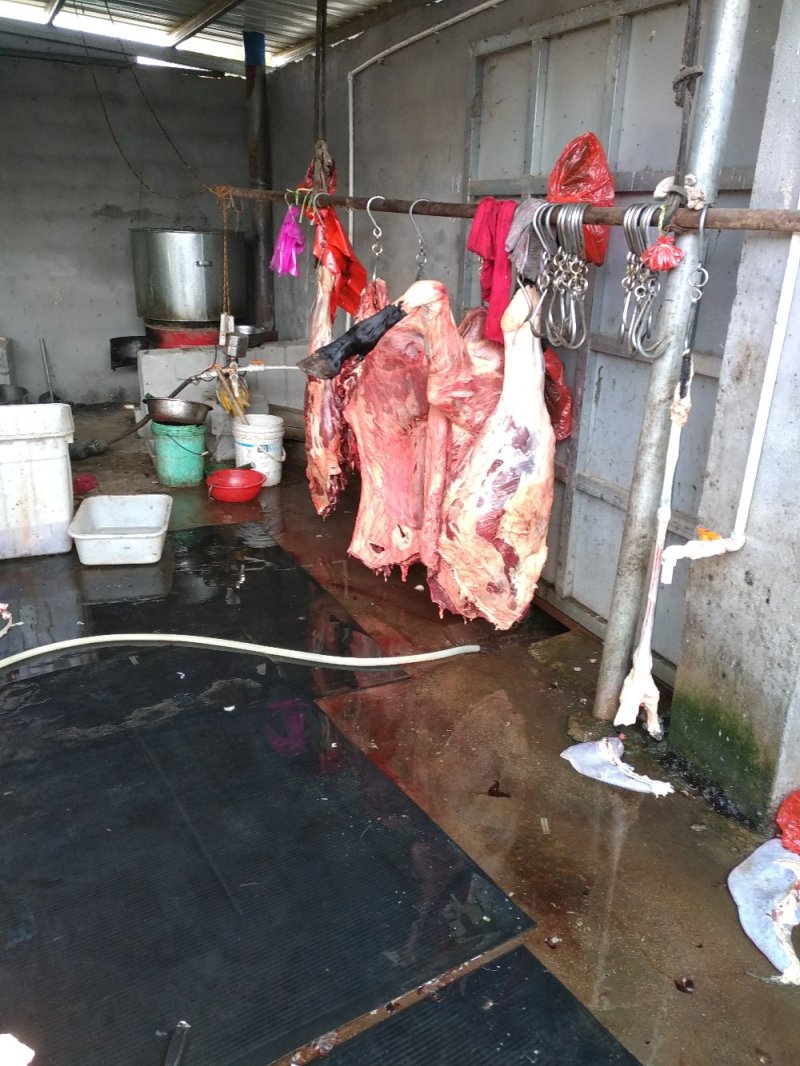 驴肉