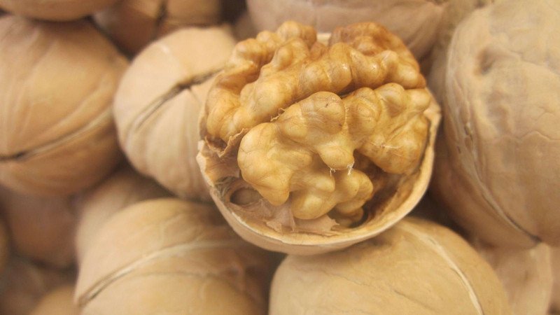 新疆薄皮核桃厂家大量现货一手货源品质好价格优