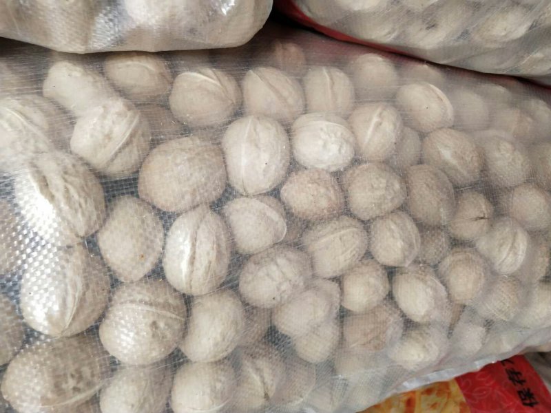 新疆薄皮核桃厂家大量现货一手货源品质好价格优