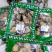 甘草特级大片甘草片甘草农家通