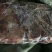 大量出售山羊肉，净肉无骨，冻货。