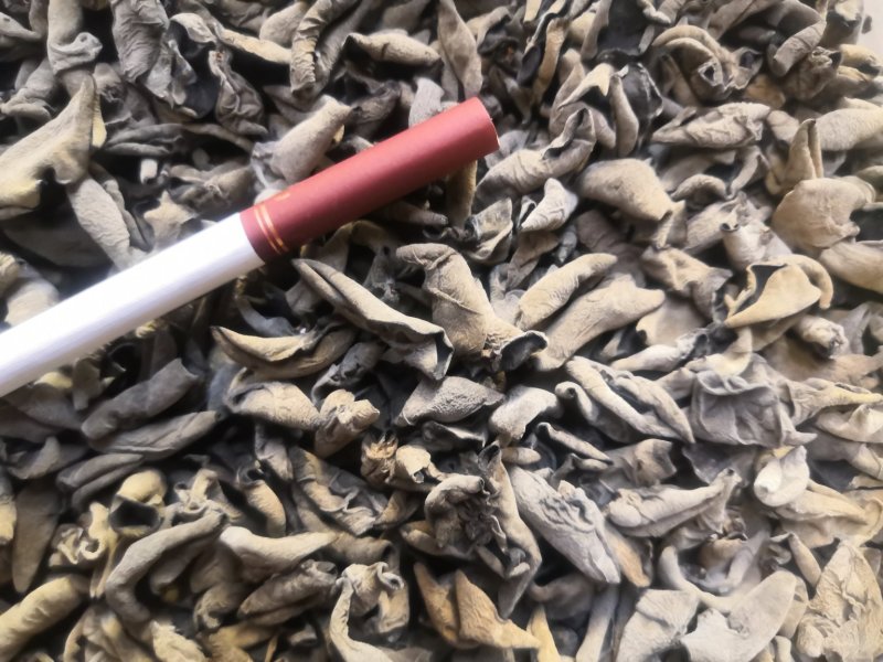 木耳口感好，肉质厚，木耳香