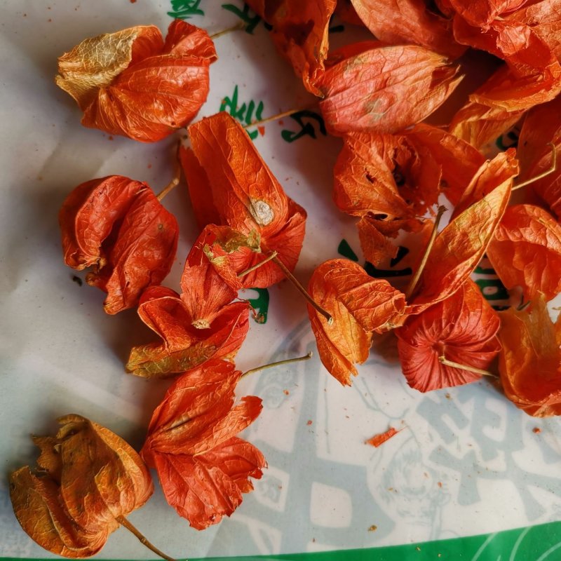 锦灯笼红菇娘酸浆果挂金灯无硫净货保正品批发零售冷背中药材