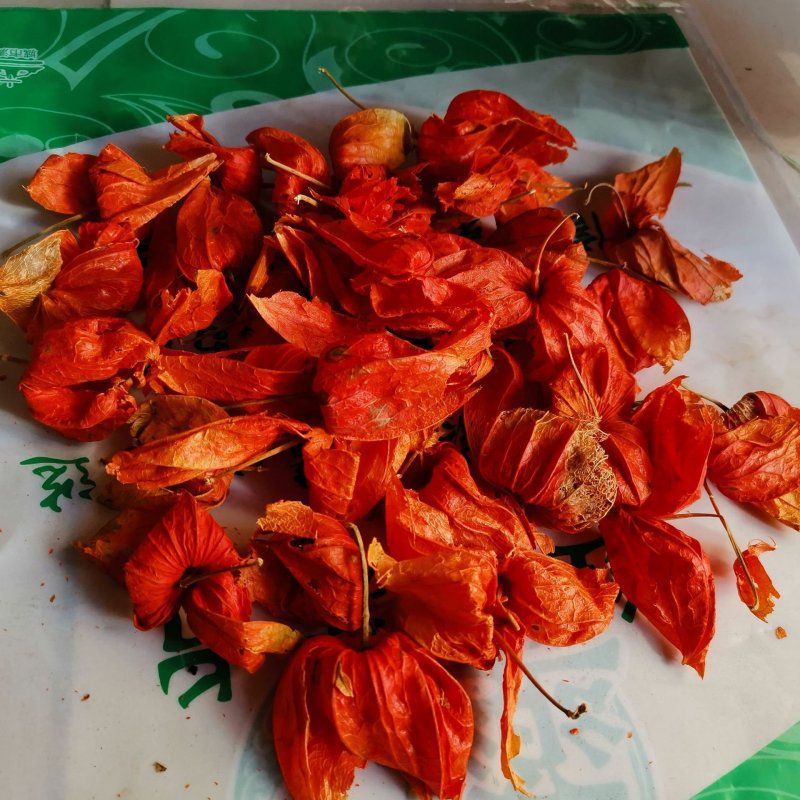 锦灯笼红菇娘酸浆果挂金灯无硫净货保正品批发零售冷背中药材
