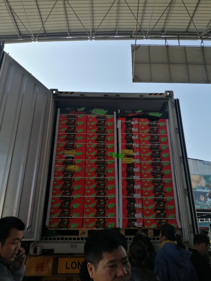 以色列西柚葡萄柚红心柚子加工果肉切片西柚