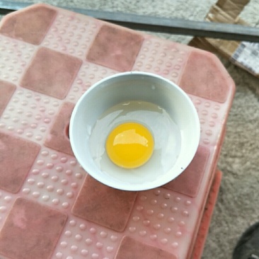 鸭蛋