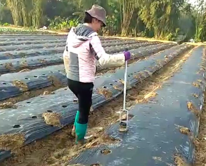地膜打孔器小型塑料地膜打孔器打孔器