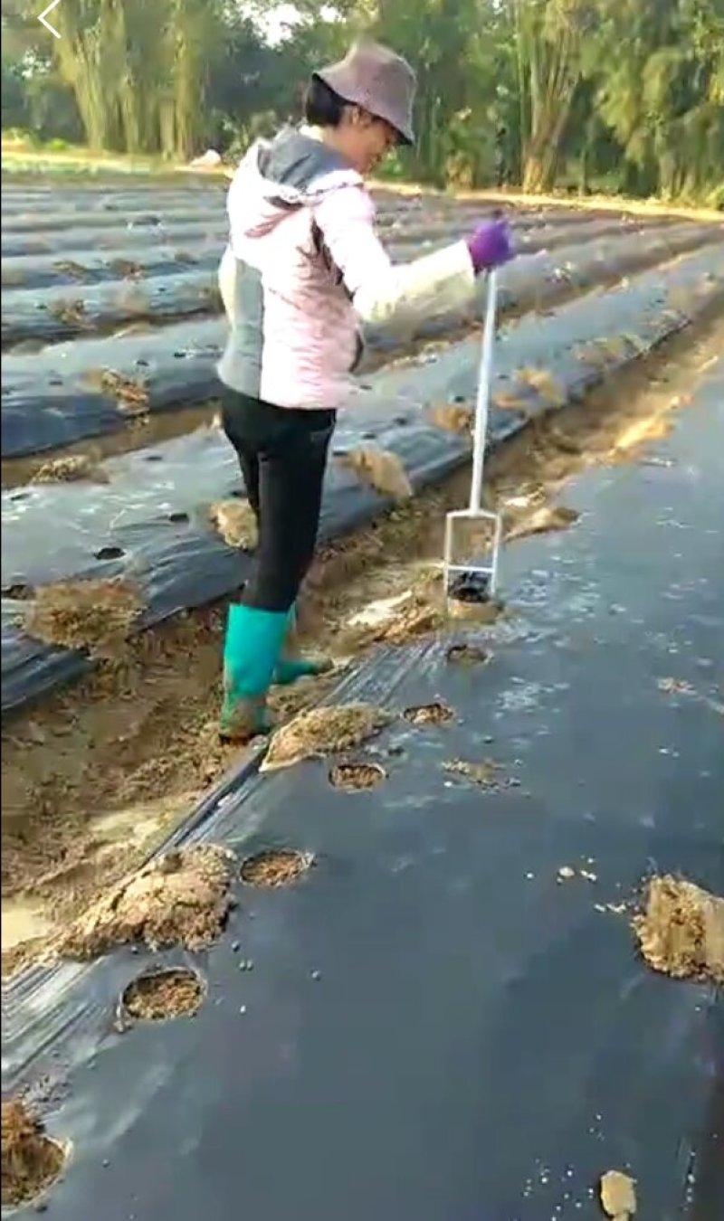 地膜打孔器小型塑料地膜打孔器打孔器