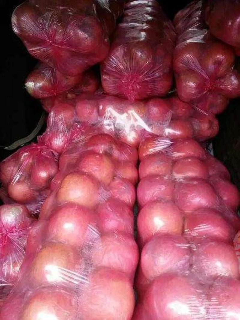 中条山膜袋苹果大量开卖，中条山高原冰糖心红富士脆甜爽口热