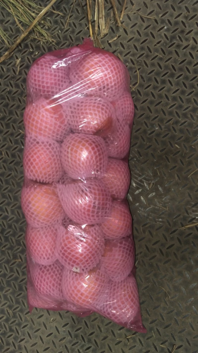 中条山膜袋苹果大量开卖，中条山高原冰糖心红富士脆甜爽口热