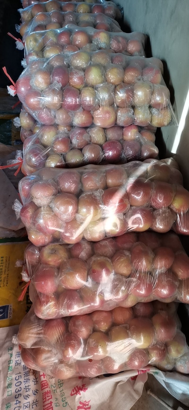 中条山膜袋苹果大量开卖，中条山高原冰糖心红富士脆甜爽口热