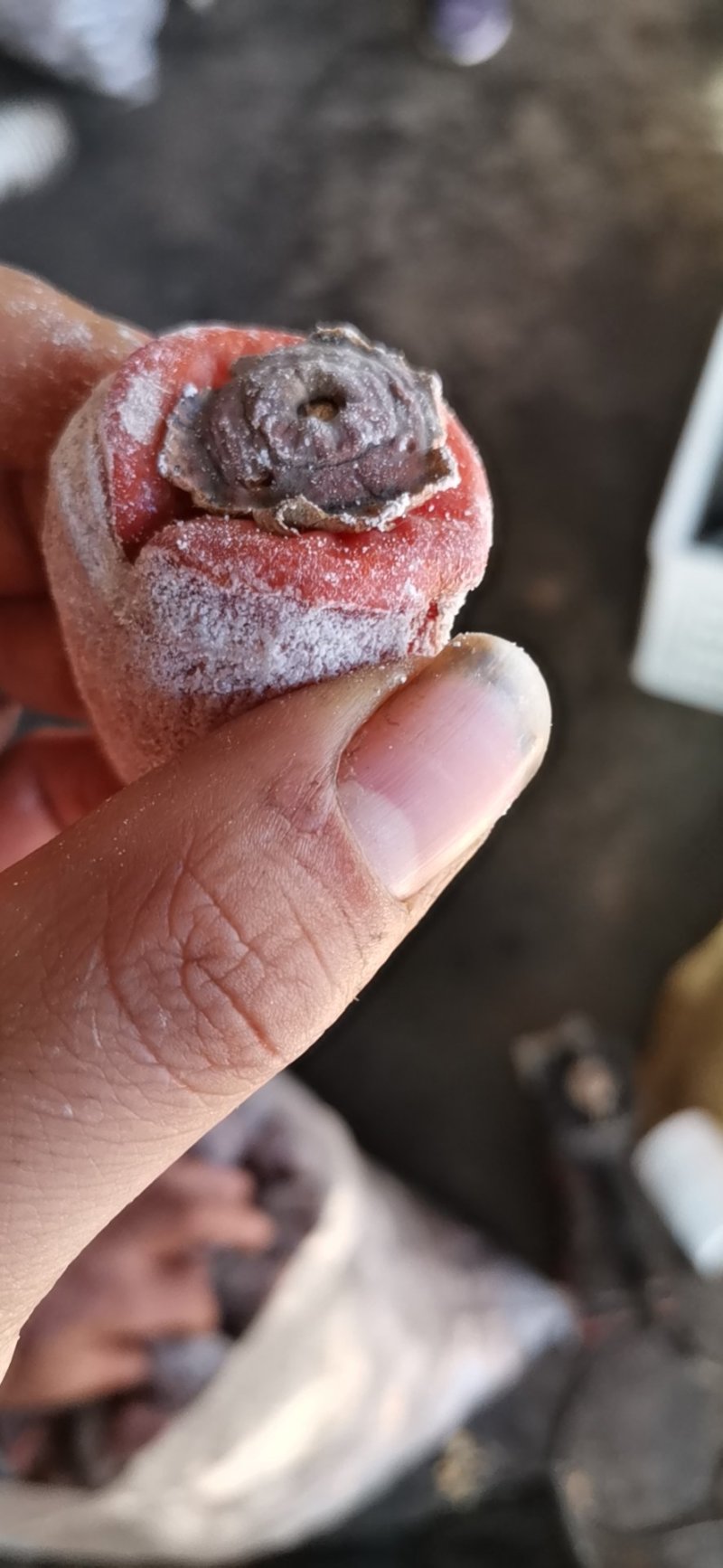 优质柿饼河北省邯郸市涉县柿饼牛心柿饼吊柿饼五斤包邮流心