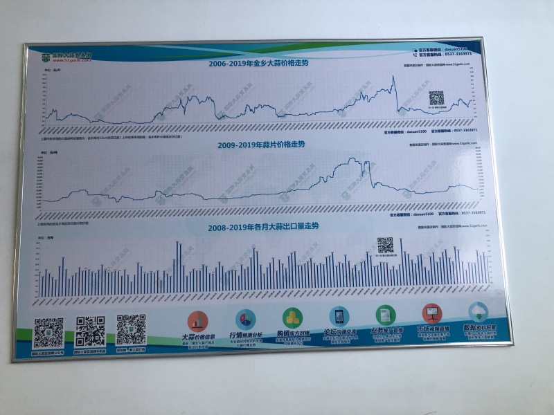 金乡红皮大蒜专业储存冷库出租实力配资