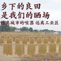 红薯粉条红薯粉丝纯手工无任何添加