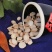 【有好货样品】白芍片规格齐全产地一手货量大从优品质